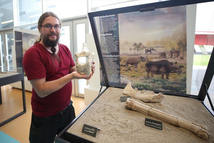 Kayseri'de bulunan fosillerle ile ilgili yeni gelişme!  G5