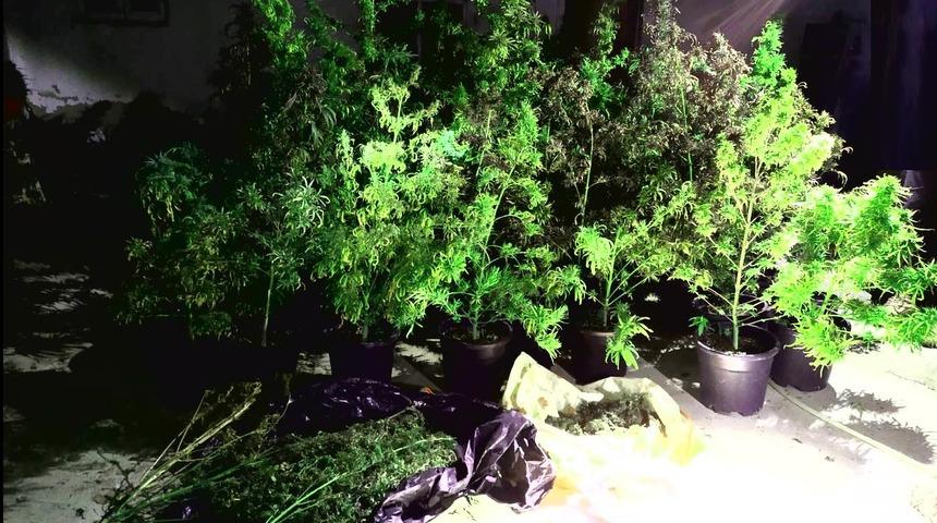 Eskişehir&rsquo;de uyuşturucu operasyonu: 3 g&ouml;zaltı