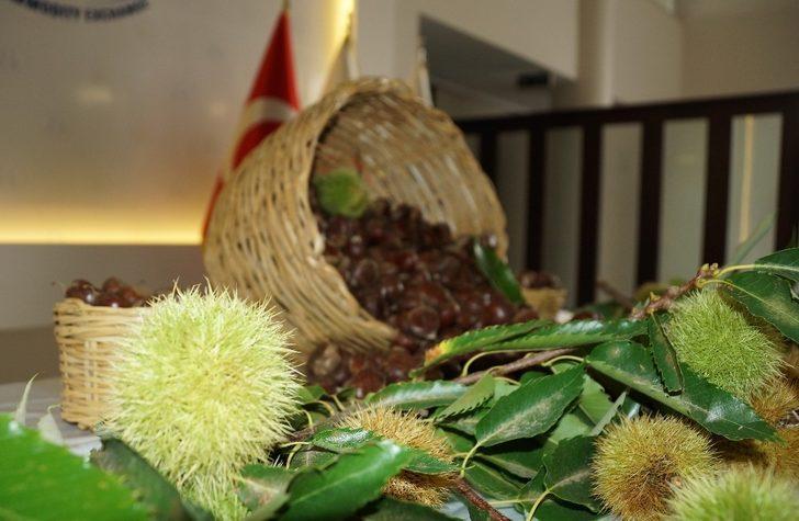 Aydın’da sezonun ilk kestanesi borsaya teslim edildi G3
