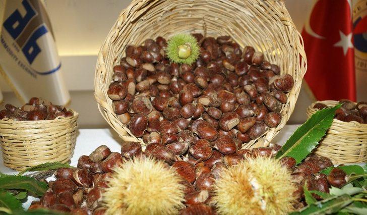 Aydın’da sezonun ilk kestanesi borsaya teslim edildi G4