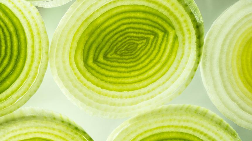 Her derde deva 4 kış sebzesi