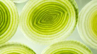 Her derde deva 4 kış sebzesi