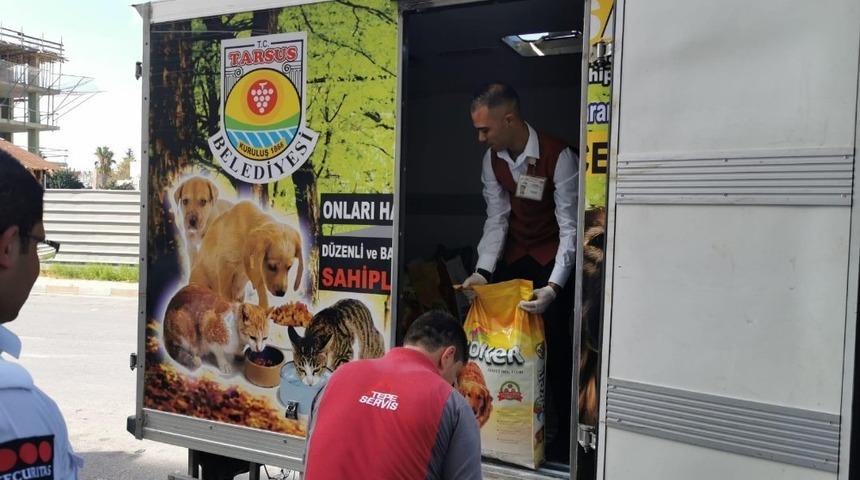 Tarsus&rsquo;ta sokak hayvanları i&ccedil;in 500 kilo mama toplandı