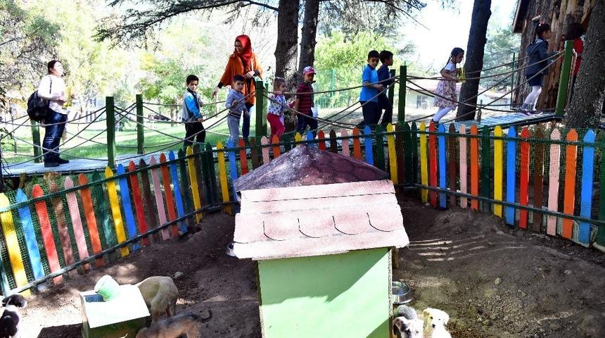 Hayvan dostu miniklerden anlamlı ziyaret