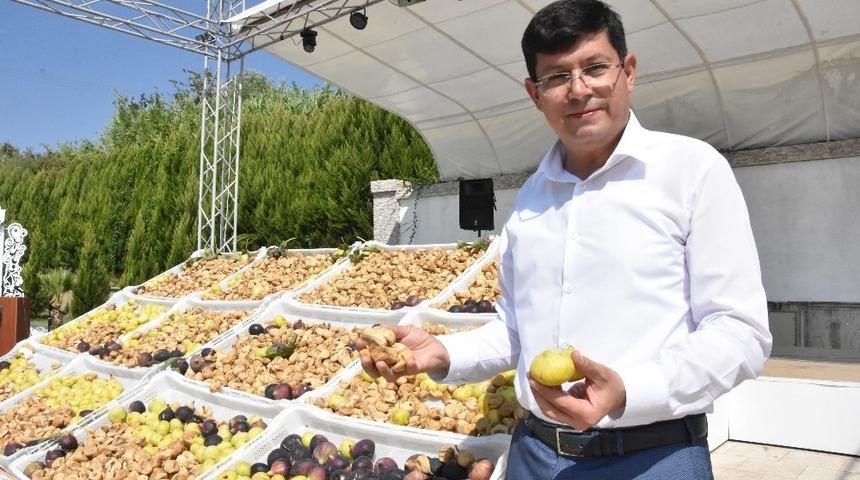 Nazilli&rsquo;den Barış Pınarı kahramanlarına İncir g&ouml;nderilecek