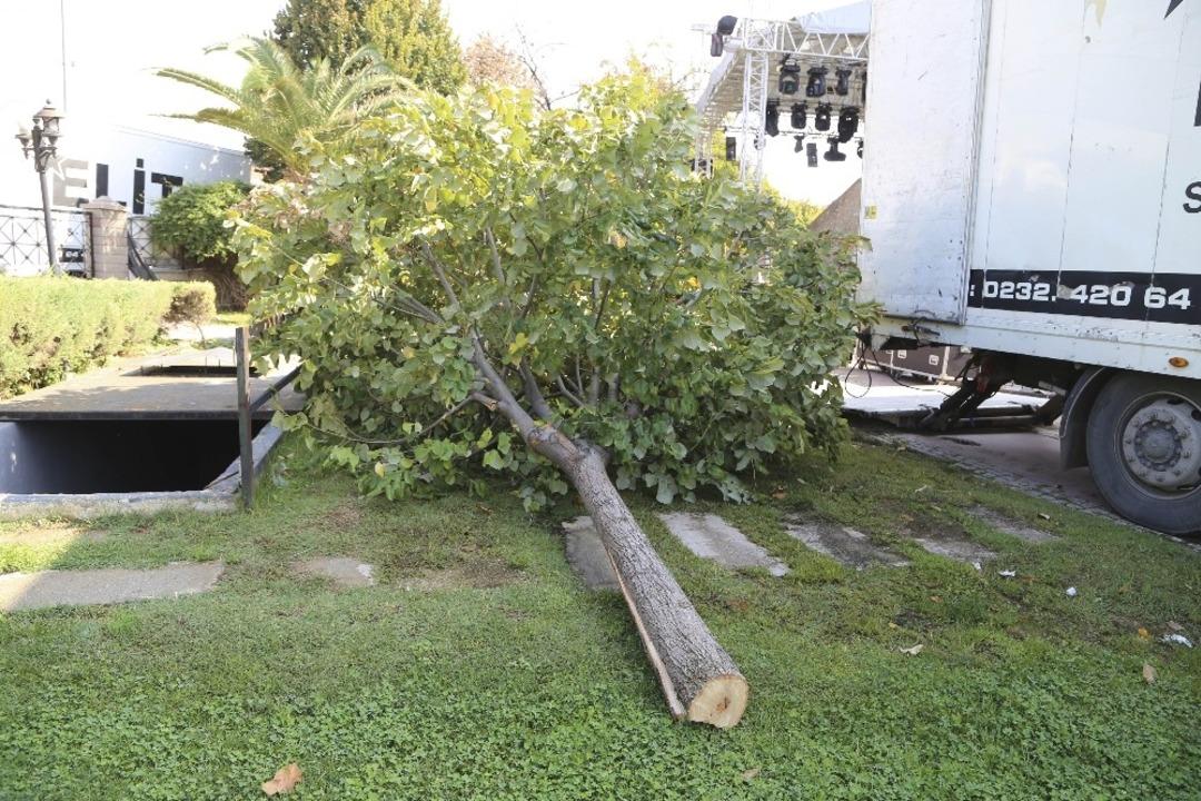 Konser alanı oluşturmak i&ccedil;in ağa&ccedil;ları kestiler