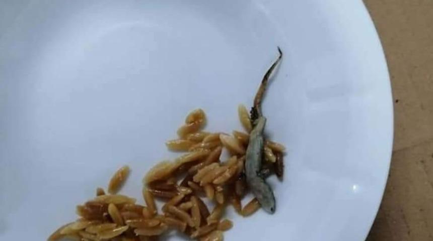 Hastane yemeğinin i&ccedil;inden &rsquo;kertenkele&rsquo; &ccedil;ıktığı iddiası