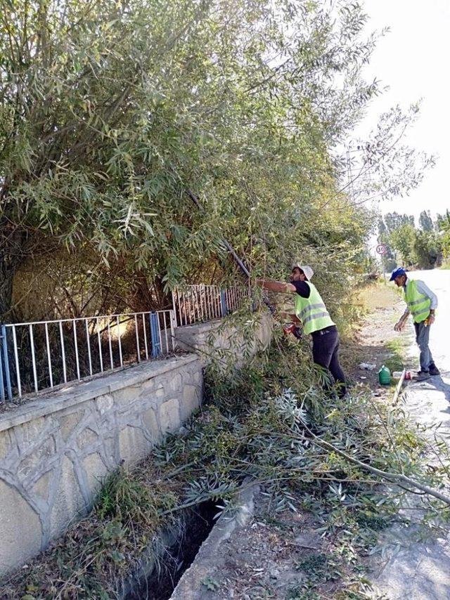 Edremit’te kuru ve tehlike arz eden ağaçlar budanıyor