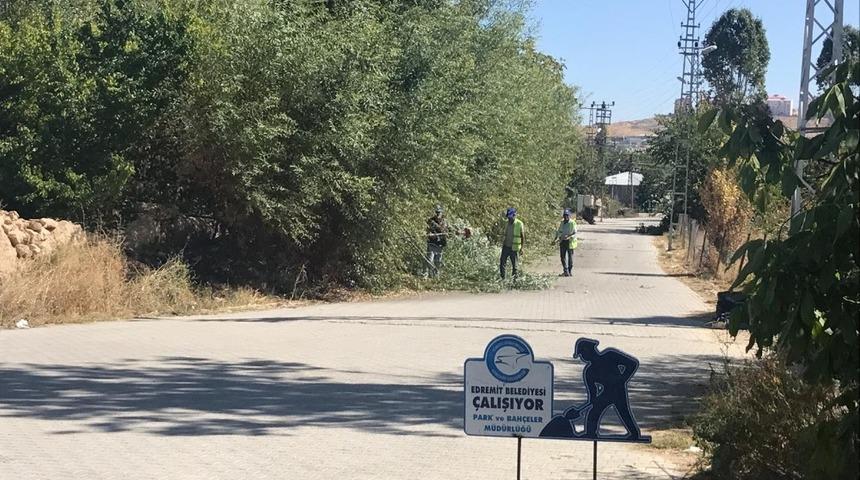 Edremit&rsquo;te kuru ve tehlike arz eden ağa&ccedil;lar budanıyor