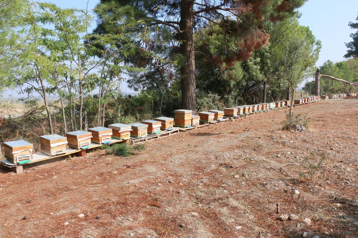 Devlet desteği ile işinin patronu oldu