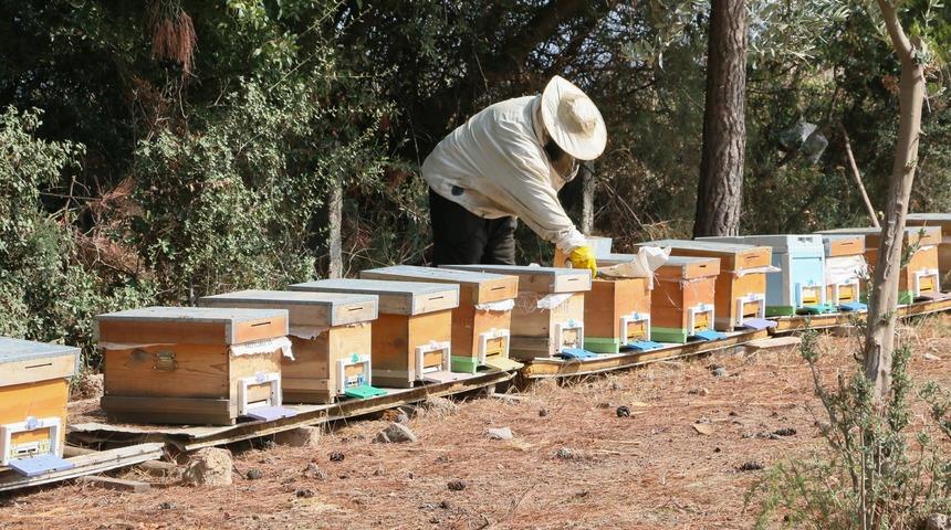 Devlet desteği ile işinin patronu oldu