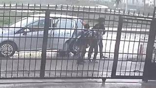 Ankara'da 16 köpeğin zehirlendiği ana ilişkin görüntüler ortaya çıktı