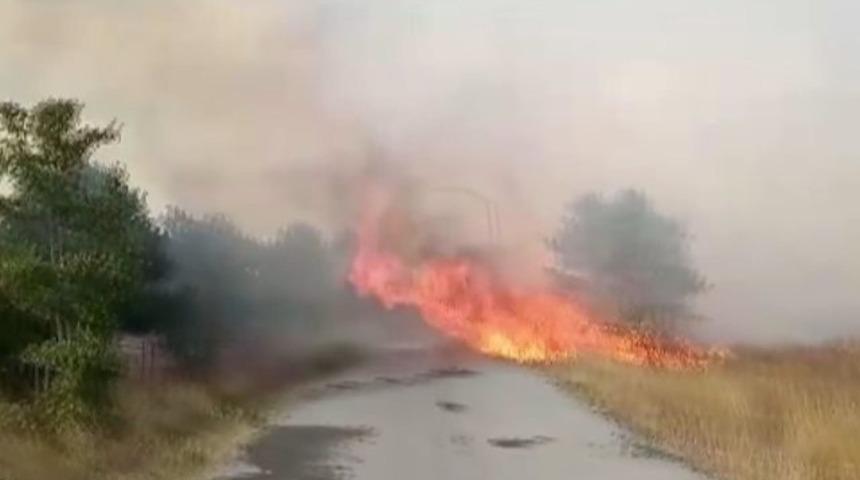 İstanbul'daki orman yangınlarıyla ilgili PKK operasyonu! Gözaltına alındılar
