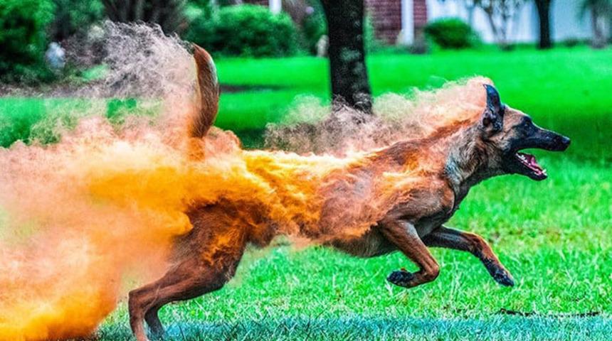 Bu fotoğraflarda photoshop yok! G&ouml;zlerinize inanamayacaksınız