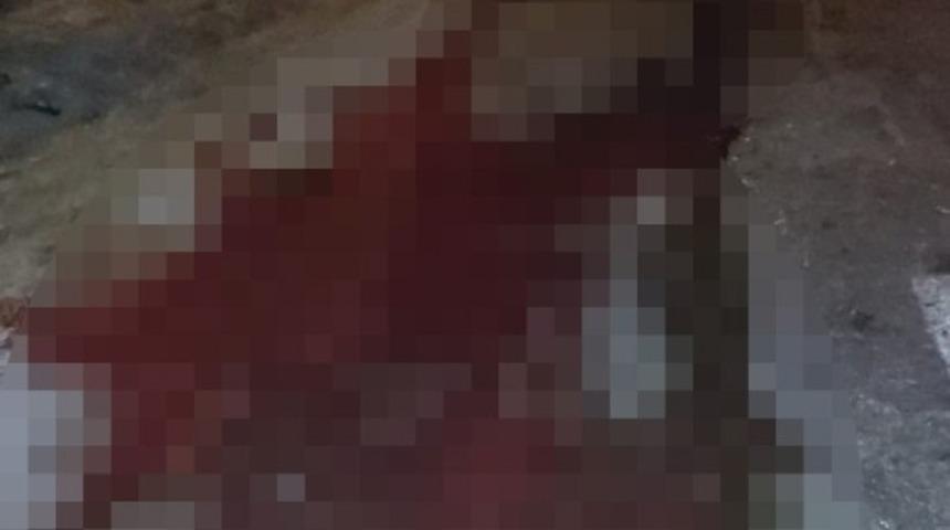 İneğe &ccedil;arpan ara&ccedil;taki 2 kişi yaralandı