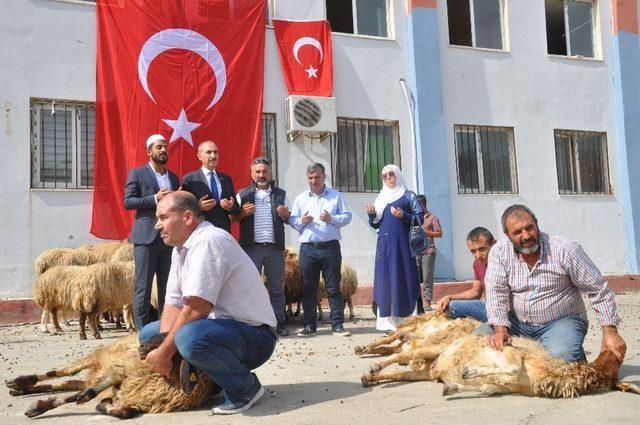 Mehmetçik için sınırda 50 kurban kesildi