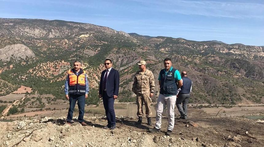 35 bin fidan dikilecek