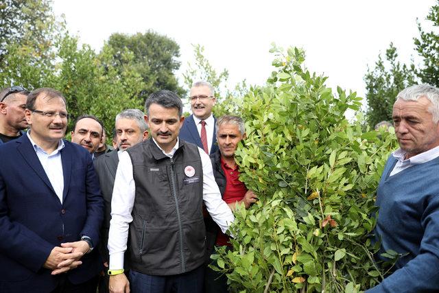 Bakan Pakdemirli: Türk ve Kürt kardeşliğinin önüne hiçbir şey geçemez(2)