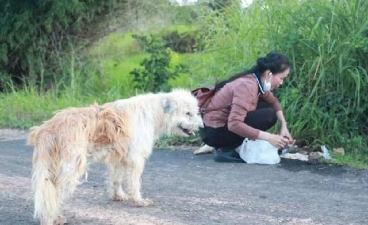 Sahibi onu unuttu, o sahibini unutmadı! 4 yıl bekledi