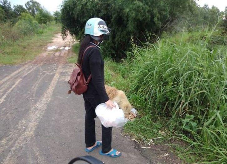 Sahibi onu unuttu, o sahibini unutmadı! 4 yıl bekledi G3