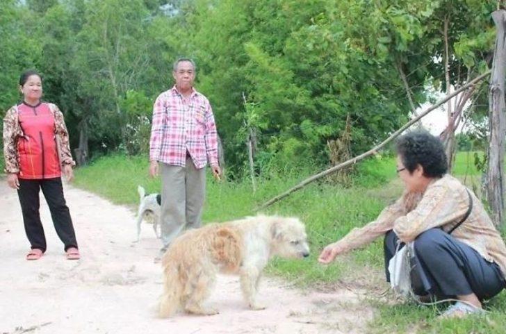 Sahibi onu unuttu, o sahibini unutmadı! 4 yıl bekledi G4