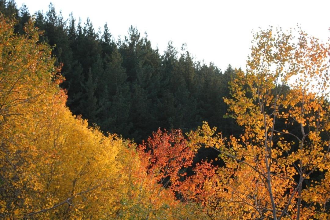 Oltu&rsquo;da rengarenk doğa hayran bırakıyor