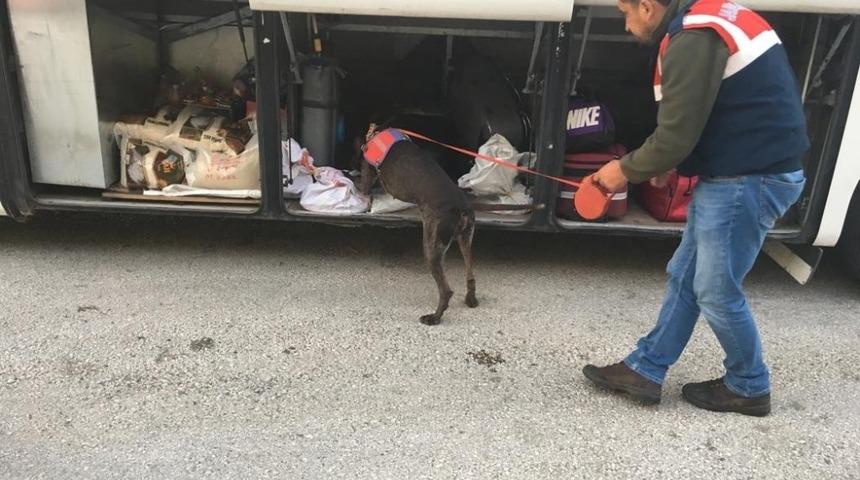 Yolcunun üzerinde uyuşturucu ele geçirildi