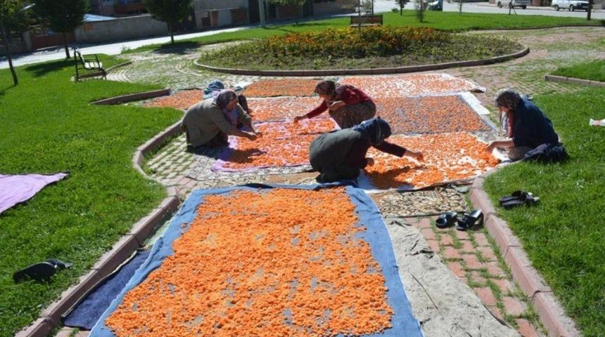 Şifa deposu asırlık lezzet "Tarhana" telaşı