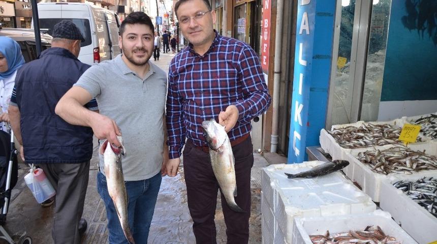 Tezgahlarda bir tek palamut eksik