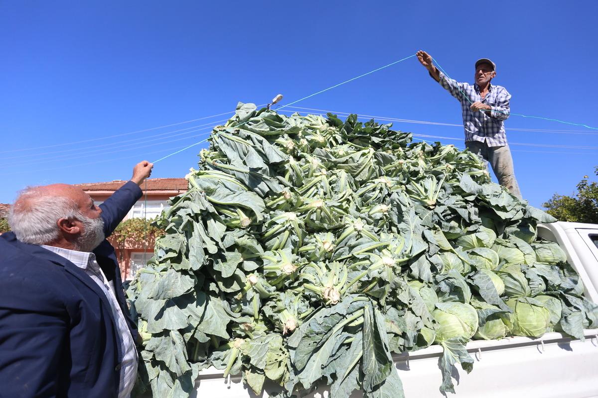 Karnabaharın fiyatı, sofraya gelinceye kadar katlanarak artıyor