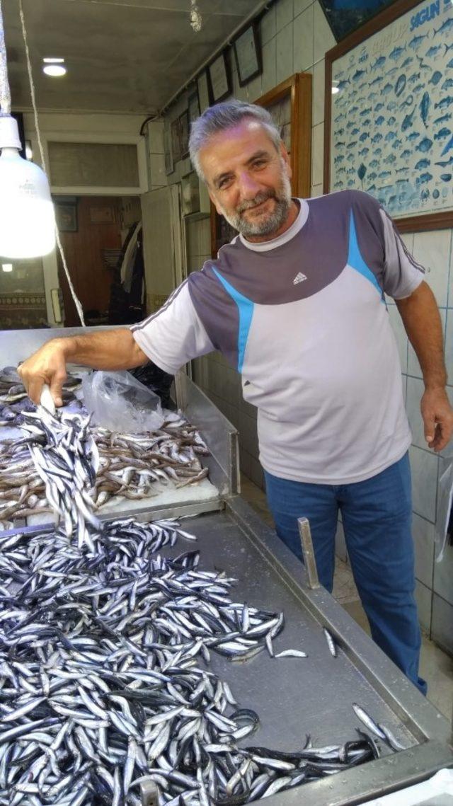 Mustafa Çelebi; “Hamsinin ömrü tükeniyor”