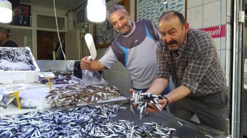 Mustafa &Ccedil;elebi; &ldquo;Hamsinin &ouml;mr&uuml; t&uuml;keniyor&rdquo;