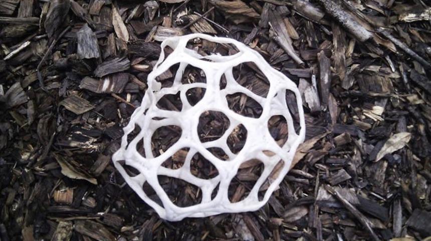 Bu plastik bir atık değil! Çok nadir görülüyor