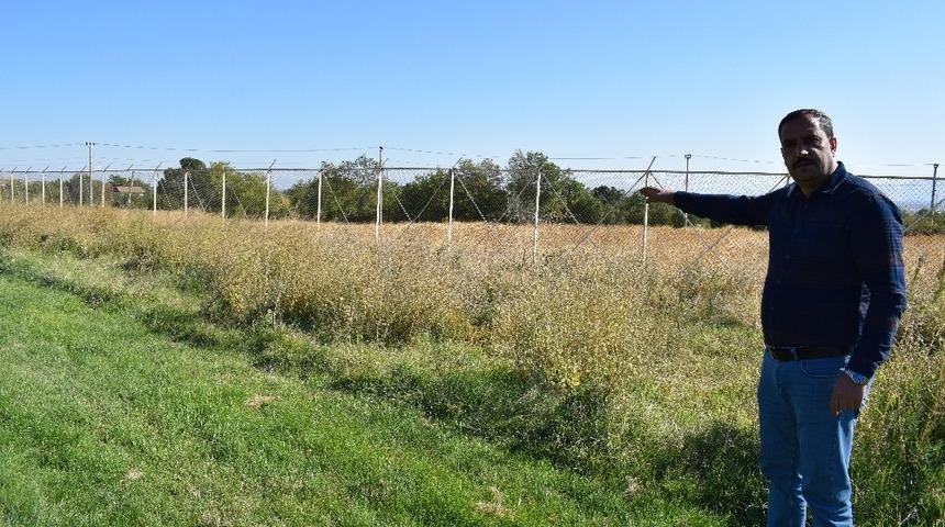 Stat ilgisizlikten meraya d&ouml;nd&uuml;