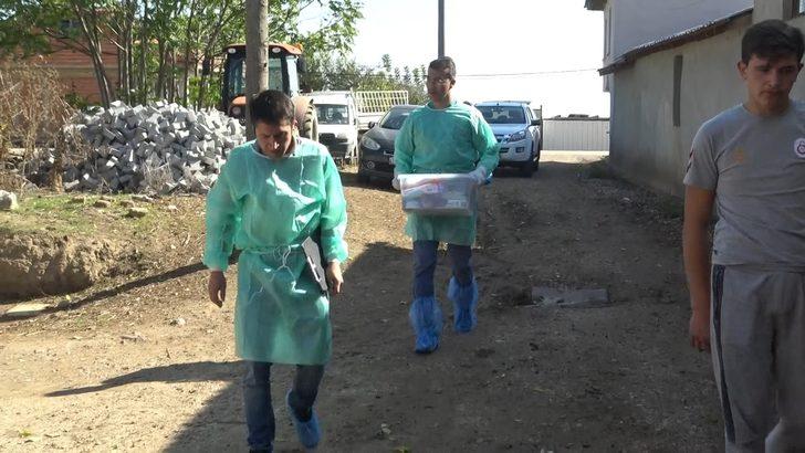 Bursa'da köyde esrarengiz kuzu ölümleri G4