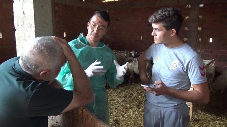 Bursa'da köyde esrarengiz kuzu ölümleri G5