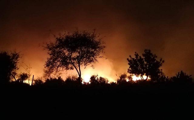 Silifke’de korkutan yangın