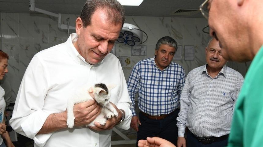 Mersin&rsquo;de 6 ayda 723 kedi ve bin 583 k&ouml;peğin tedavisi yapıldı
