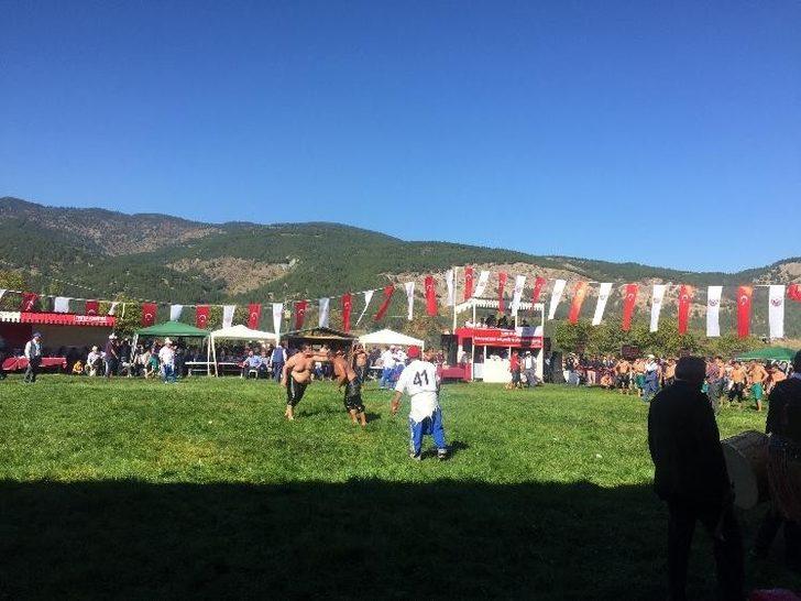 Tosya yağlı güreşleri devam ediyor G1