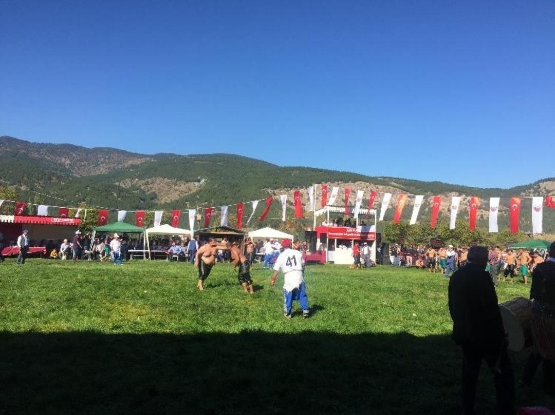 Tosya yağlı g&uuml;reşleri devam ediyor