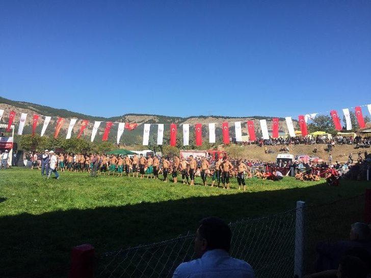 Tosya yağlı güreşleri devam ediyor G2