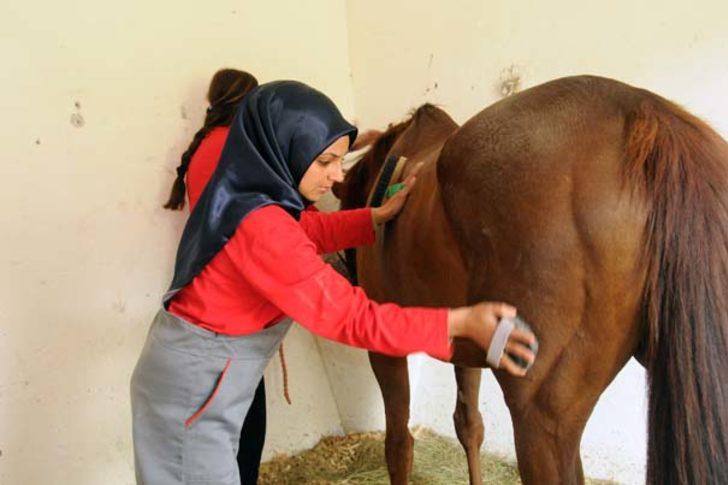 TJK kadın seyis yetiştiriyor G4