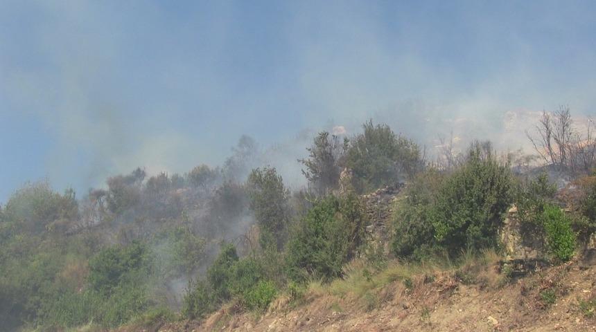 Samandağ&rsquo;da bitki &ouml;rt&uuml;s&uuml; yangını