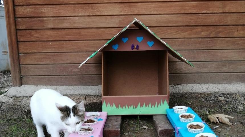 &Ouml;ğrenciler mama istasyonu kurdu