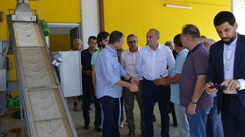 Didim zeytin festivali sona erdi