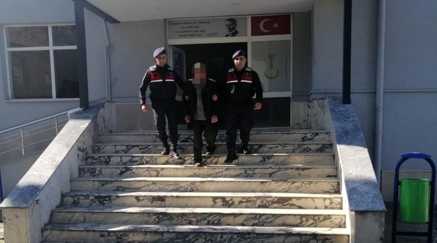 K&ouml;pekleri &ouml;ld&uuml;rd&uuml;, sosyal medya sayesinde yakalandı