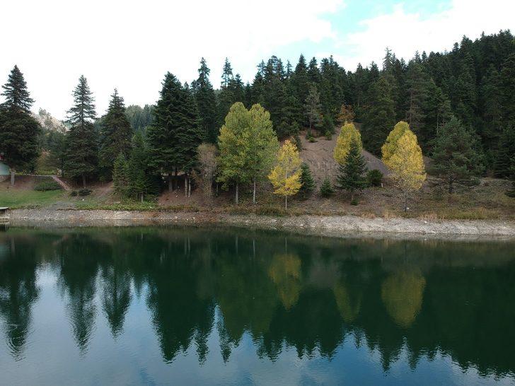 Türkiye'nin en kuzeyi Sinop'ta renk cümbüşü! Sonbaharın en büyülü kenti G5