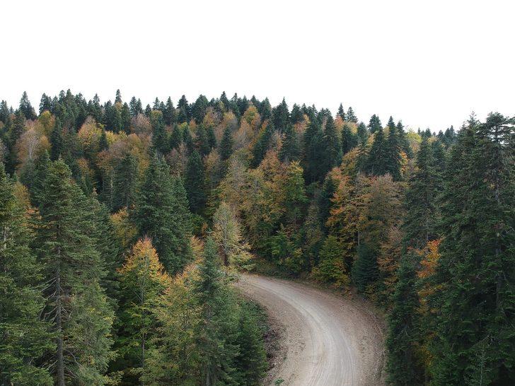 Türkiye'nin en kuzeyi Sinop'ta renk cümbüşü! Sonbaharın en büyülü kenti G2