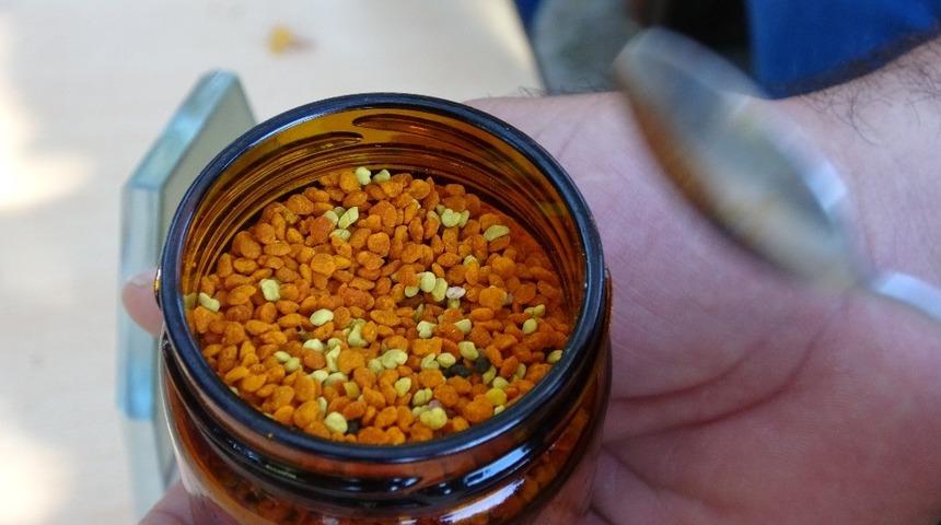 İ&ccedil;inde 70&rsquo;e yakın vitamin olan şifa kaynağı polenin bilinmeyen y&ouml;nleri