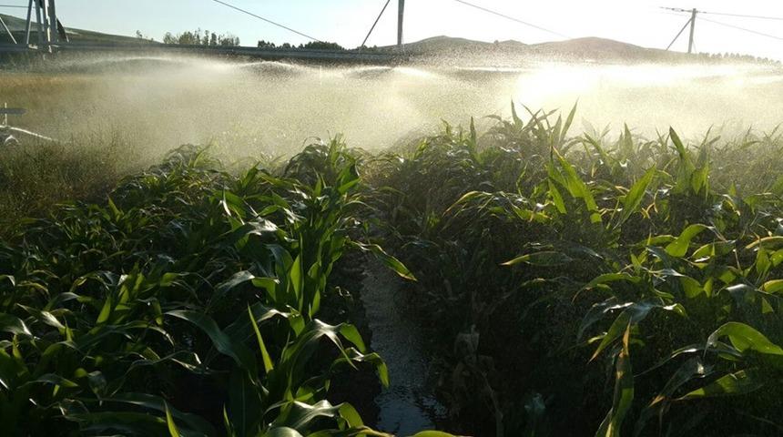 Bayburt&rsquo;ta 2019 yılı sulama sezonunda 73 bin 50 dekar tarım arazisi sulandı